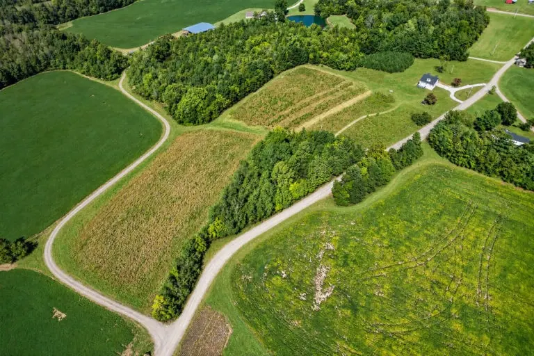 Horse-Ready Land Basics: Preparing Your Acreage in the Triangle Area hero image